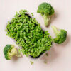 Broccoli Microgreens (Coming Soon) - Image 2