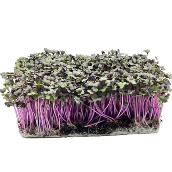 Beet Greens