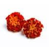 Marigold - Image 4