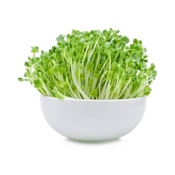 Arugula