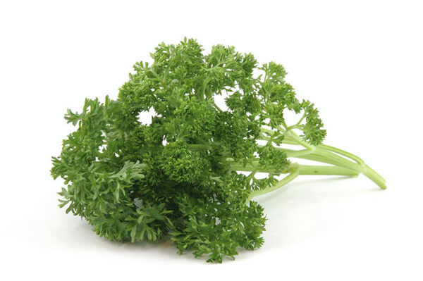 Parsley (Coming Soon)