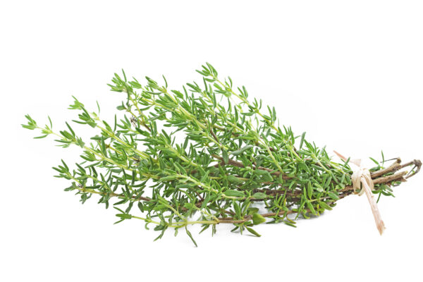 Thyme(Coming Soon)