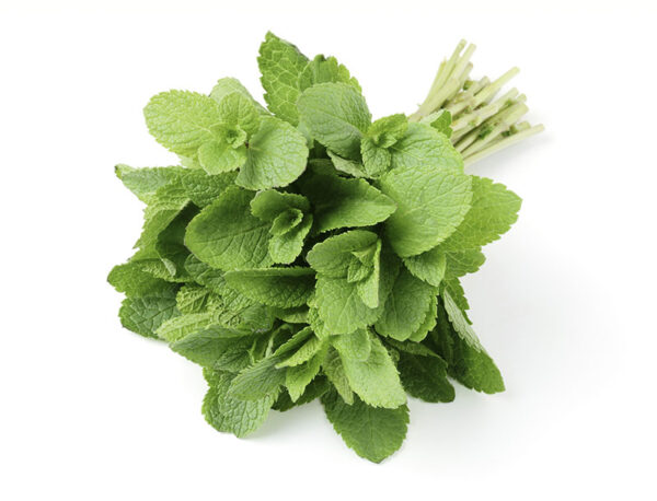 Mint