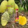 Mango BBQ Sauce - Image 2