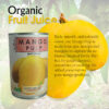 Mango Pulp - Image 4