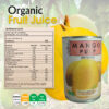 Mango Pulp - Image 3