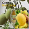 Organic Mango Puree - Image 3